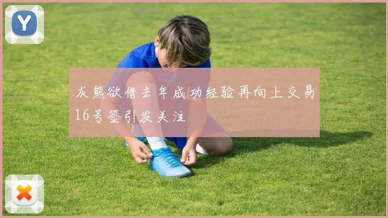 灰熊欲借去年成功经验再向上交易16号签引发关注
