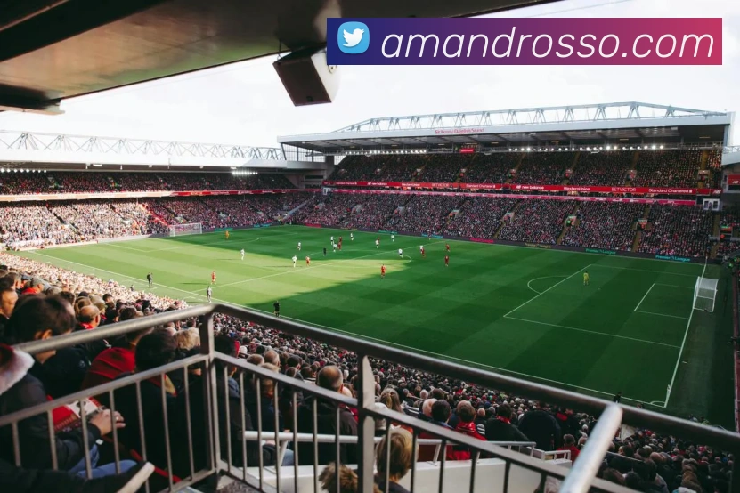 mksports在线登录平台生态图